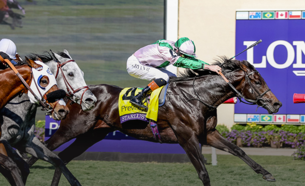 ChampionTurf